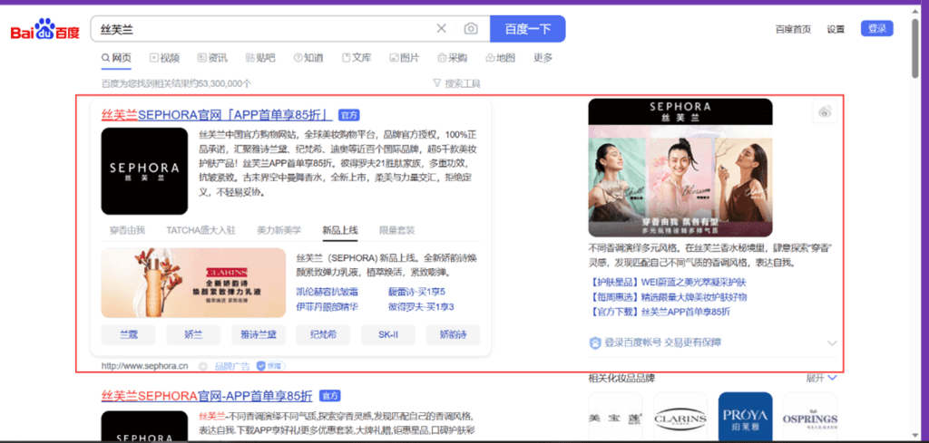 The Guide to Baidu Search Ad Formats | Nanjing Marketing Group