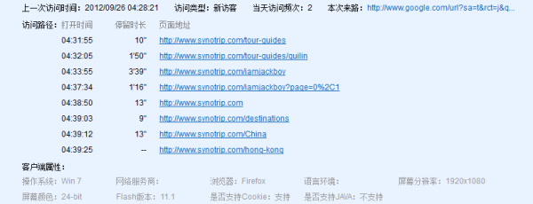 Screenshot of the Baidu Tongji real-time visitor report