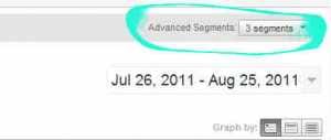 Google Analytics Advanced Segment button